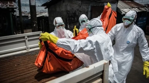 Ebola Salgınında Alarm Zilleri! DSÖ'den Uluslararası Acil Destek Çağrısı